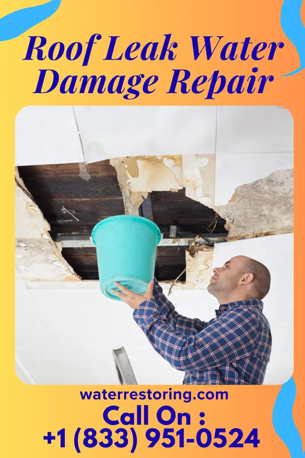 Roof Leak Water Damage Repair in Half Moon Bay, CA